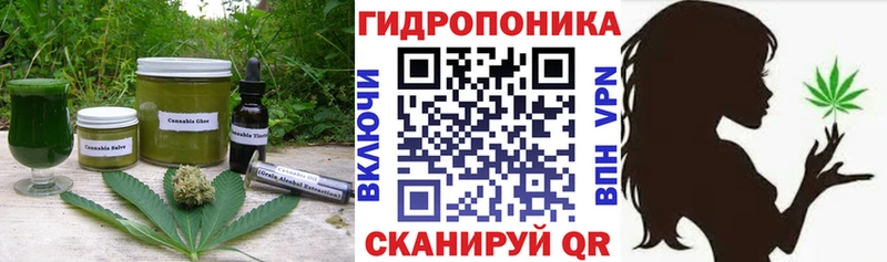 Canna-Cookies конопля цена наркотик Хотьково