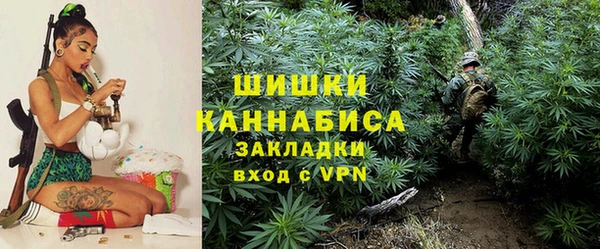 бошки Осинники